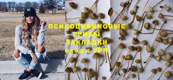прущие крисы Кукмор
