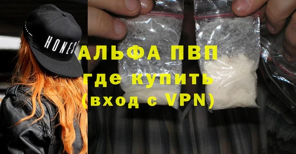 СК Куйбышев