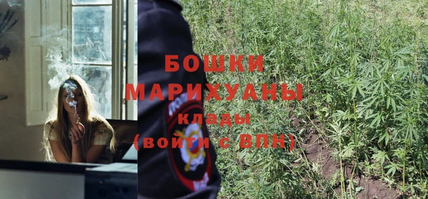 СК Куйбышев