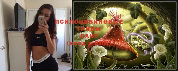 прущие крисы Кукмор