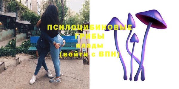 СК Куйбышев