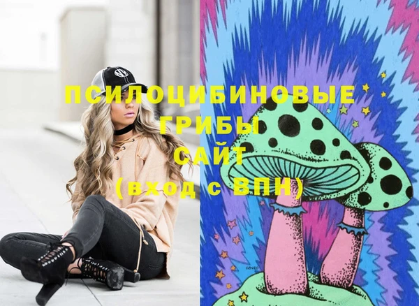 молекула духа Долгопрудный