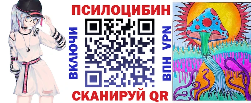 наркошоп  Чудово  Псилоцибиновые грибы GOLDEN TEACHER 