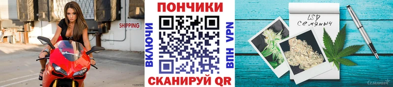 Каннабис сатива  купить наркоту  Чудово 
